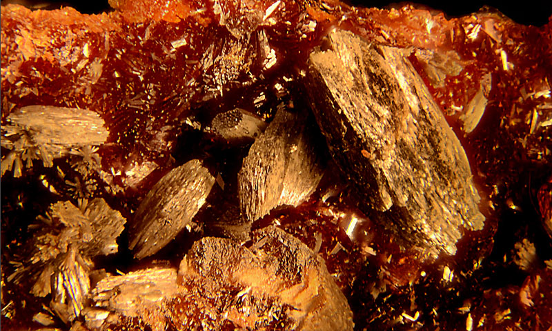 Vanadinite on deseloizite from the Willis micromount collection. (© DMNS/Richard J. Cook)